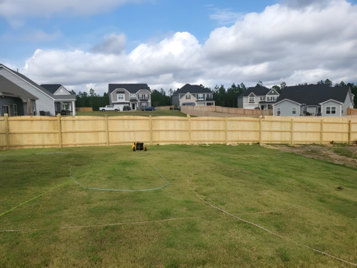 Arched Fence — Interior View